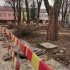 zdjęcie nr 18