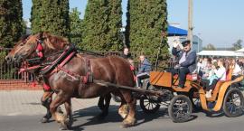 zdjęcie nr 77