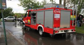 Fotka nr 5 z 8