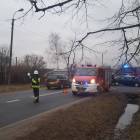 zdjęcie nr 13