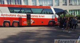 zdjęcie nr 11