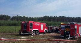 zdjęcie nr 35