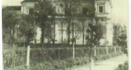Fotka nr 5 z 6