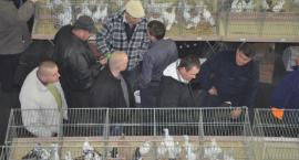 zdjęcie nr 12