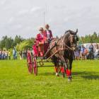zdjęcie nr 87