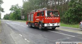 Fotka nr 1 z 2