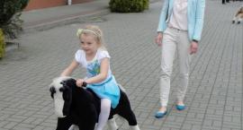 zdjęcie nr 90