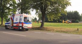 zdjęcie nr 8