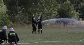 Fotka nr 4 z 59