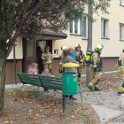 Fotka nr 1 z 16