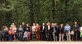 zdjęcie nr 15