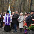 zdjęcie nr 132