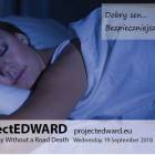 zdjęcie nr 12