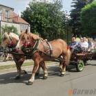 zdjęcie nr 95