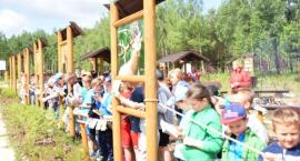 zdjęcie nr 24