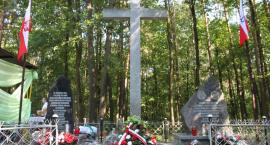 zdjęcie nr 45