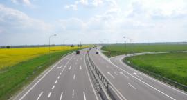 zdjęcie nr 8