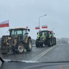 zdjęcie nr 7