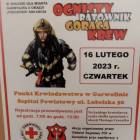 zdjęcie nr 55