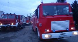 zdjęcie nr 46
