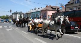 zdjęcie nr 35