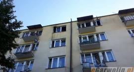 Fotka nr 5 z 7