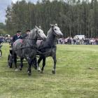 zdjęcie nr 76