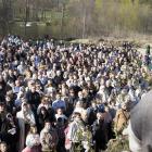 zdjęcie nr 164