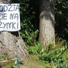 Fotka nr 1 z 183
