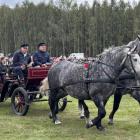 zdjęcie nr 77
