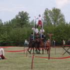 zdjęcie nr 166