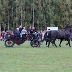 zdjęcie nr 137