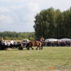 zdjęcie nr 88