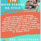 Fotka nr 4 z 5