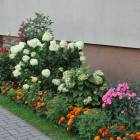 zdjęcie nr 40