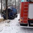 Fotka nr 1 z 2