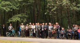 zdjęcie nr 16