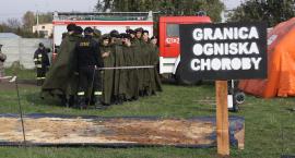 Fotka nr 2 z 32