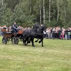 zdjęcie nr 23