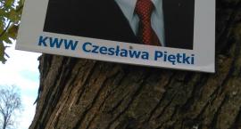 Fotka nr 1 z 2