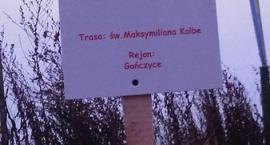 zdjęcie nr 75