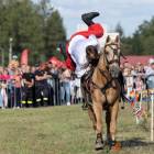 zdjęcie nr 142