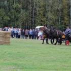 zdjęcie nr 124