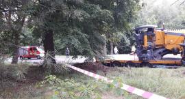 zdjęcie nr 7