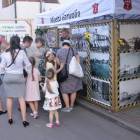 zdjęcie nr 132