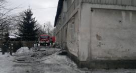 Fotka nr 2 z 16