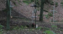 zdjęcie nr 8