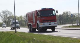 zdjęcie nr 72