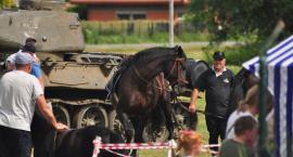 zdjęcie nr 14