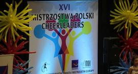zdjęcie nr 13